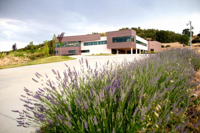 Hotel Bodegas Traslascuestas - GRUPO PIÉROLA