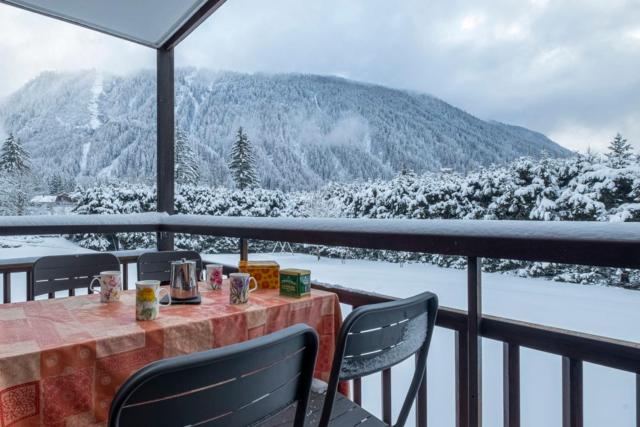 Apartment With Balcony Close To The Ski Slopes