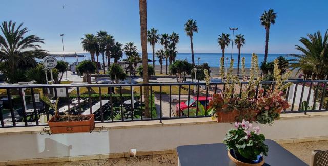 Beach panorama Caleta