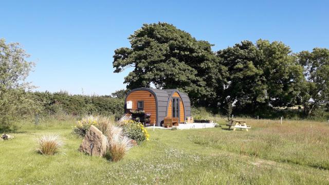 Hornbeam Luxury Eco Pod at Trewithen Farm Glamping