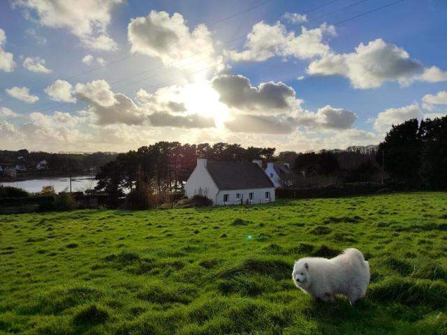 Maison vue mer a Plouguerneau