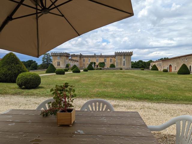 Gîte charmant au cœur d'un château historique avec parc, proche de Cognac, idéal famille et nature - FR-1-653-167