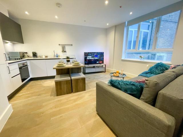 Super Cosy Apartment in The Heart Of Chelmsford