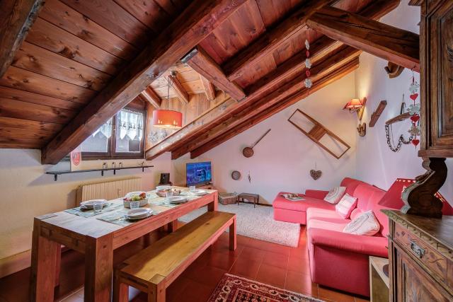 Le Meublé between City Center & Skiing - Happy Rentals