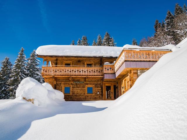 Oberholzlehen hut with a great view