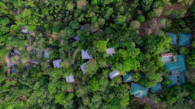 The Hive, Wayanad