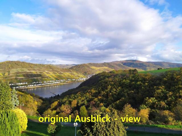 Ferienwohnung mit Balkon und Rheinblick