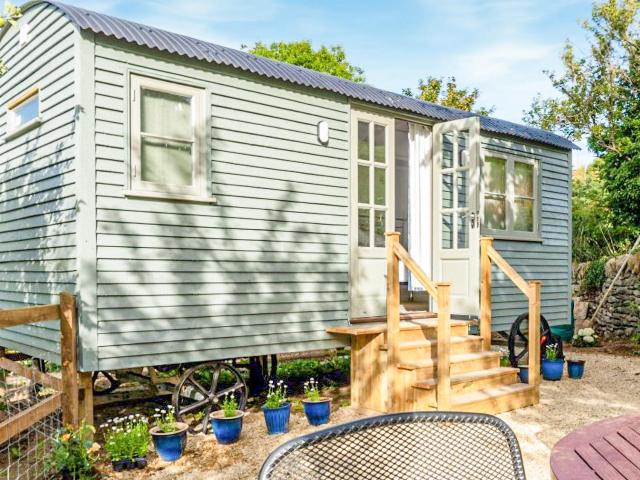 Fig Tree Shepherds Hut