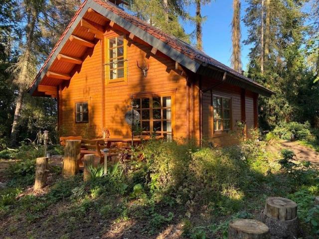 Schönes Ferienhaus in Schmiedeberger Weinberge mit Terrasse und Grill