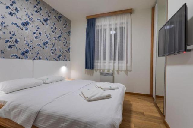 Vila Borova Apartman Rajin