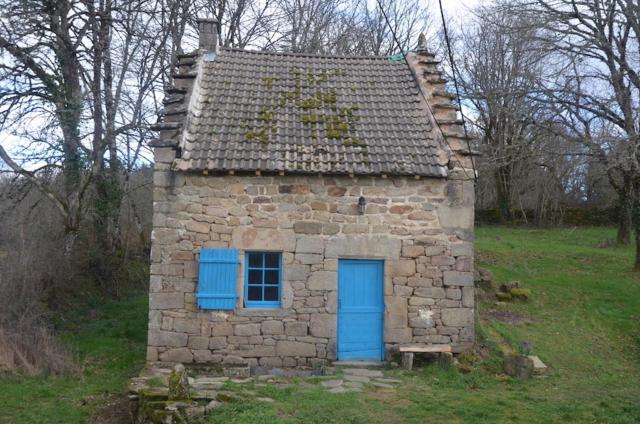 Maison charmante a Meyrignac l'Eglise avec cheminee