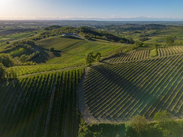 ORIZZONTI Vigneti Repetto