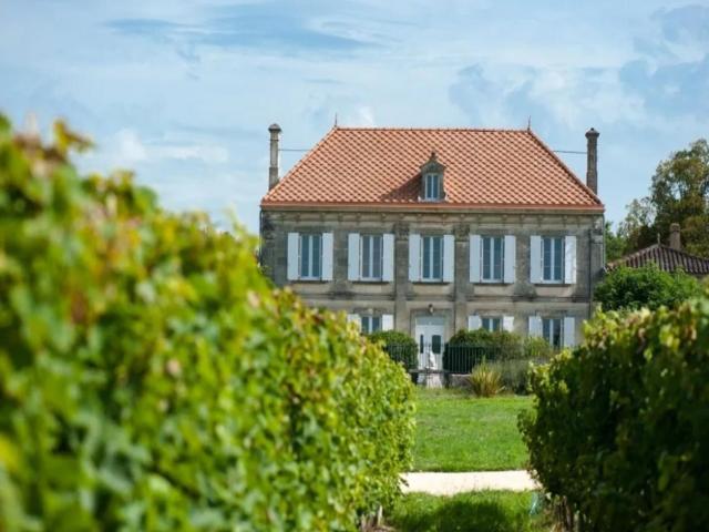 Lovely château 25 min from Bordeaux