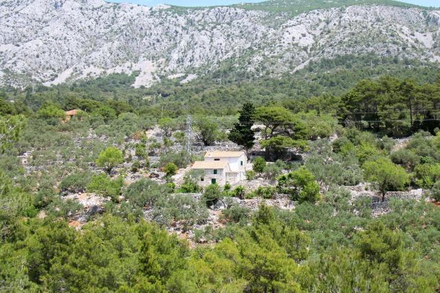 Secluded holiday house Zivogosce - Mala Duba, Makarska - 19811