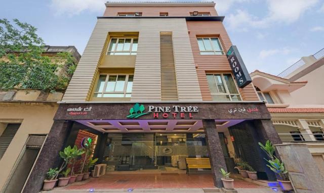 Pine Tree Boutique Hotel