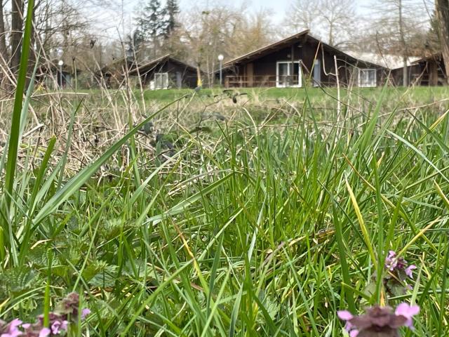 CAMPING DE LA CHALARONNE