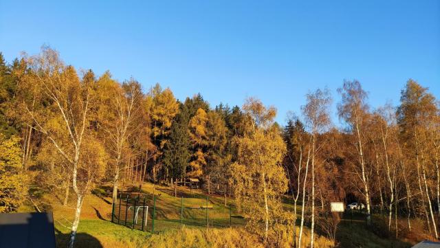 Feriendomizil Am Hochwald