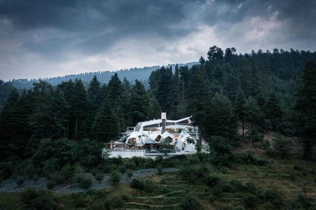 Tree of Life Eila Art Hotel, Manali