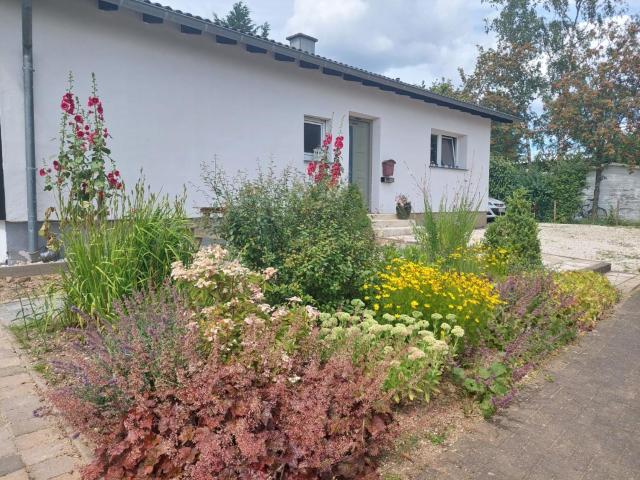 B&B Manderscheid-Blick