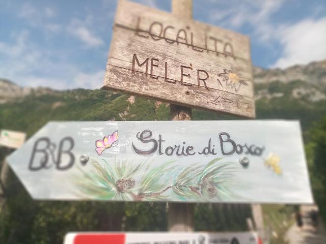 Storie di bosco