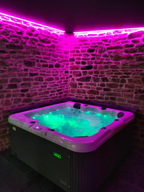 le jardin Médicis avec jacuzzi et sauna privatifs