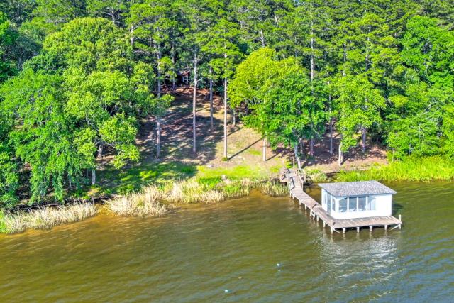 Lakefront Crockett Cabin with Boathouse and Kayaks!