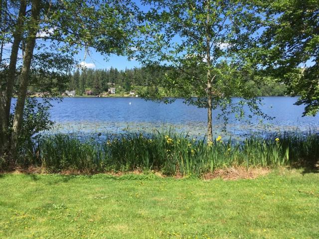 Lakefront Bungalow! 35 Miles To Mt Rainier!