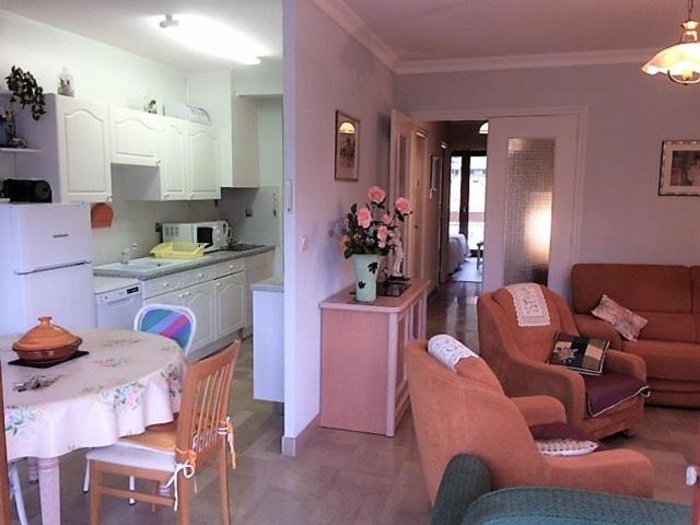 F2 avec parking, terrasse & wifi à Amélie-les-Bains, animaux acceptés - FR-1-703-53