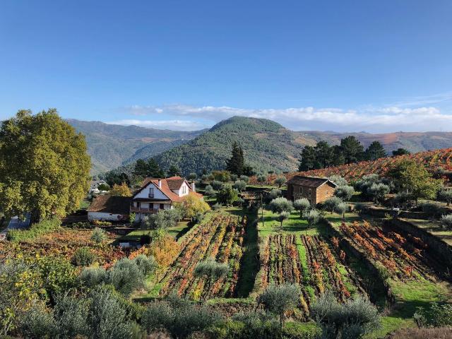 Quinta Vila Rachel - Winery