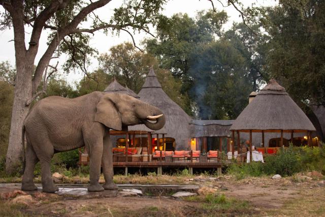 Hoyo Hoyo Safari Lodge