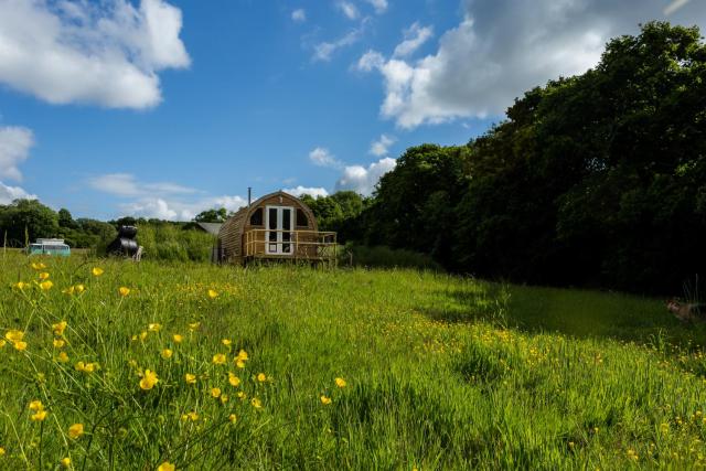 Beautiful 1 bed Glamping pod in Battle