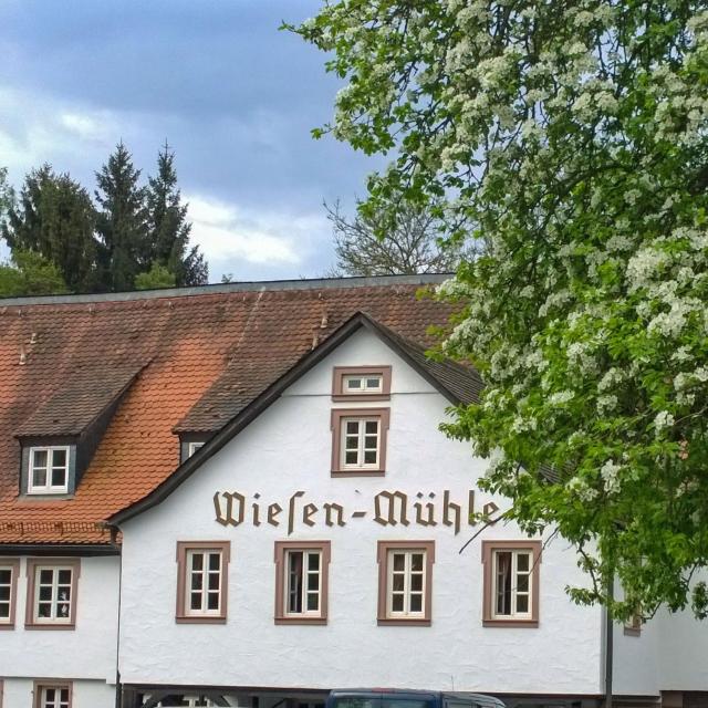 Hotel Brauhaus Wiesenmühle