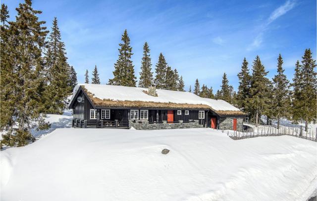 Beautiful Home In Sjusjøen With Kitchen