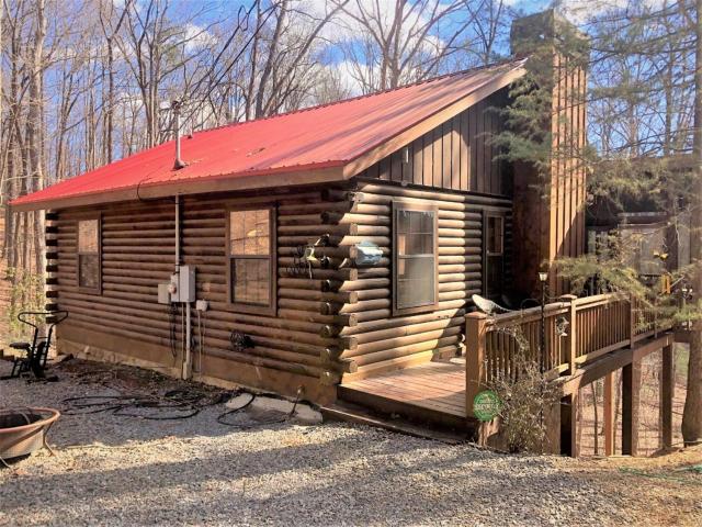 Little Bushy Head- Blue Ridge