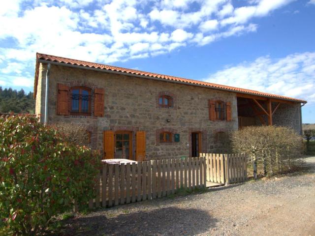 Gîte chaleureux avec terrasse, pêche, randonnées et équipements modernes au cœur du Haut Forez - FR-1-496-285