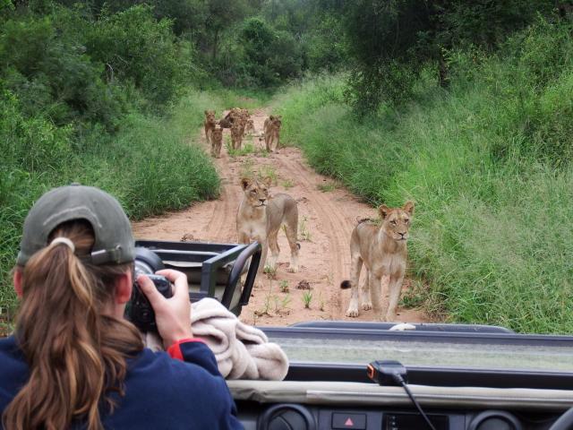 NDZUTI BUSH CAMP