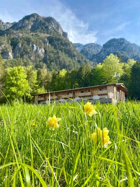 Rifugio Pian dei Ciclamini