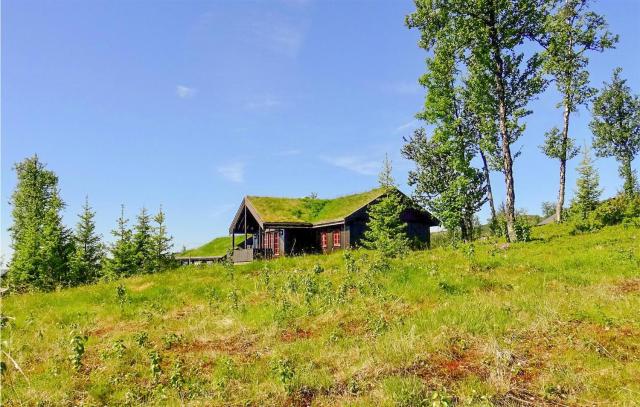 Stunning Home In Gol With Sauna