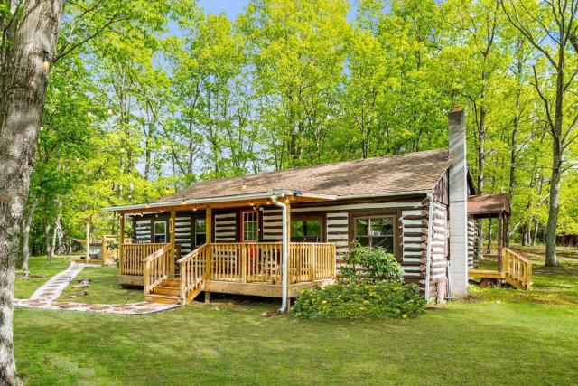 Modernized Log Cabin w Hot Tub Fire Pit & Views