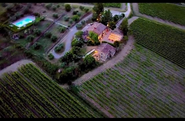 LOCANDA PODERE LE VIGNE