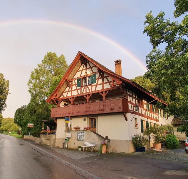 Studio beim Rhein - Ziegelhütte