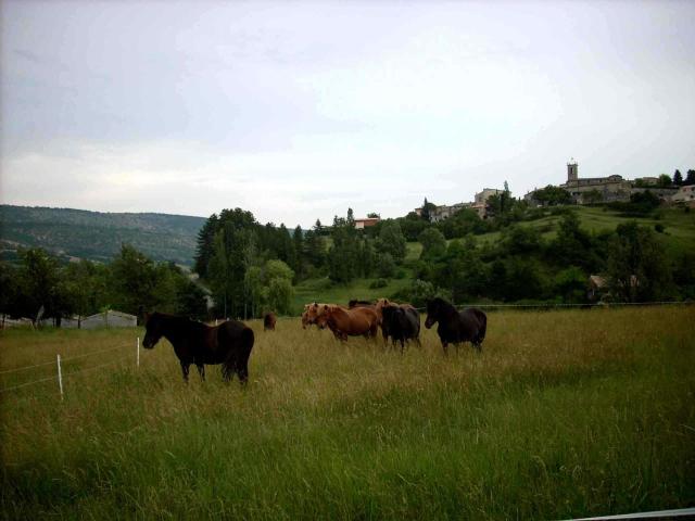 GITE PROVENCE LUBERON -PACA- Acces PMR-ANCV