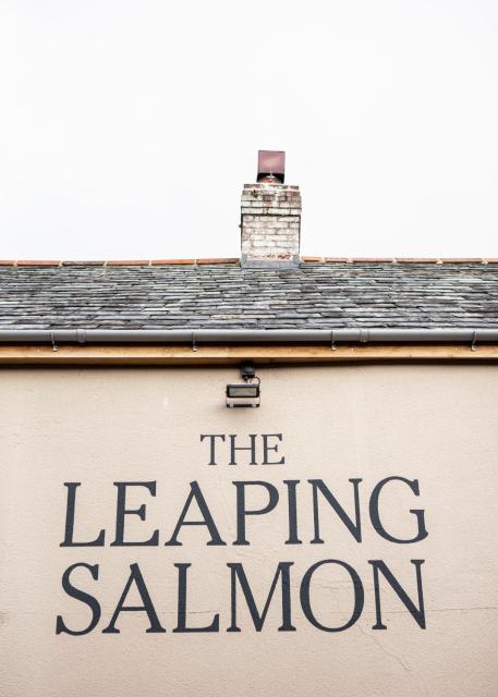 The Leaping Salmon