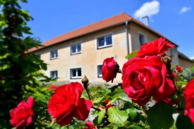 PENZION a FARMA NA BORŮVKOVÉM VRŠKU