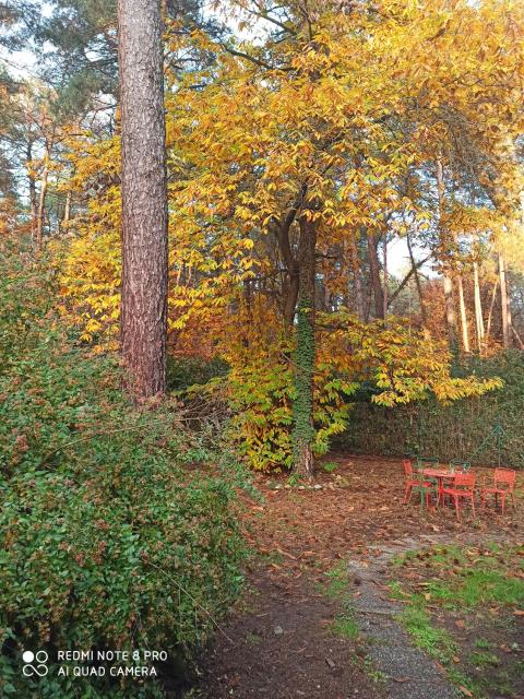 l'oasi nel bosco