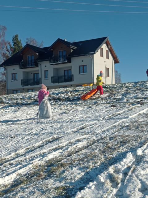 Bieszczadzki Horyzont Apartamenty