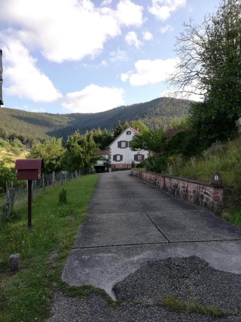 Gîte des abeilles du Kohlberg