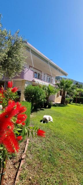 Relaxing Country house Porto Vito