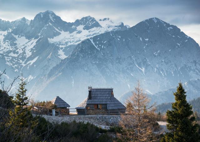 Koča Ojstrica - Velika planina