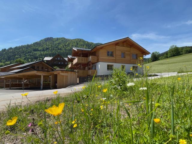 Dachstein West Apartments